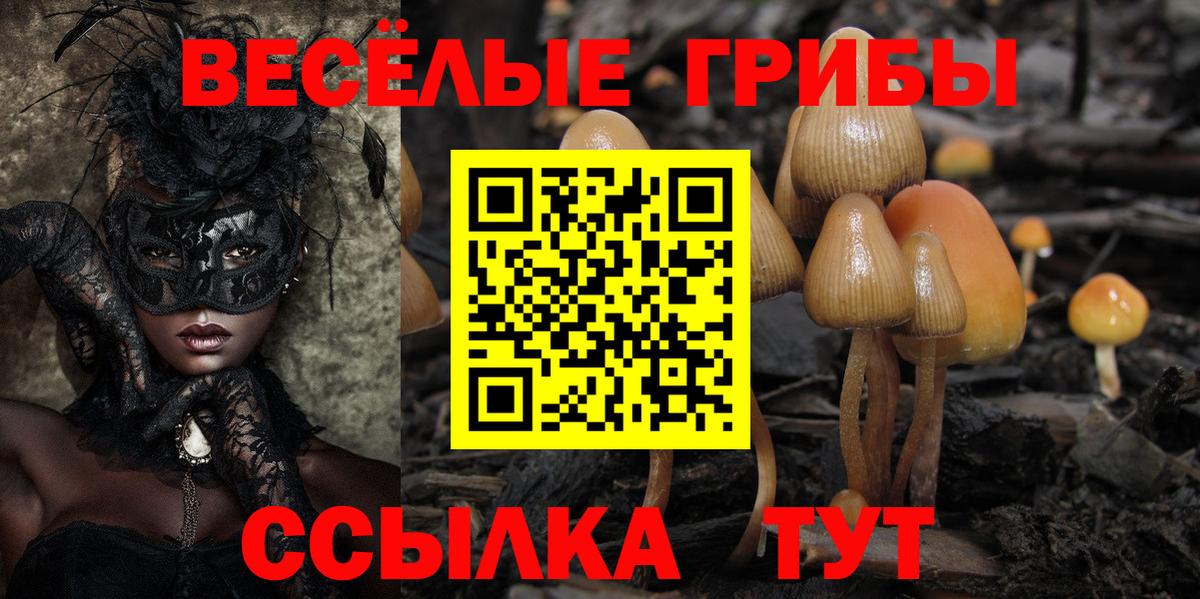 Асбест  Псилоцибиновые грибы GOLDEN TEACHER  Вход с VPN  Галлюциногенные грибы мухоморы 